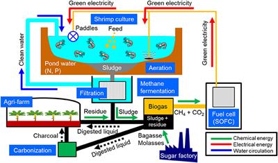 Biogas Production from Local Biomass Feedstock in the Mekong Delta and Its Utilization for a Direct Internal Reforming Solid Oxide Fuel Cell